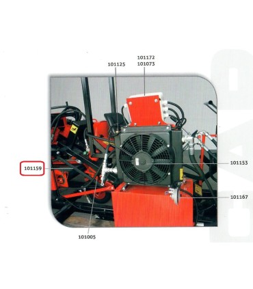 CORREA D-144 OPTIBELT