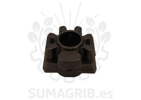 PIÑON DEL PAJARITO ZOCAPI 100002