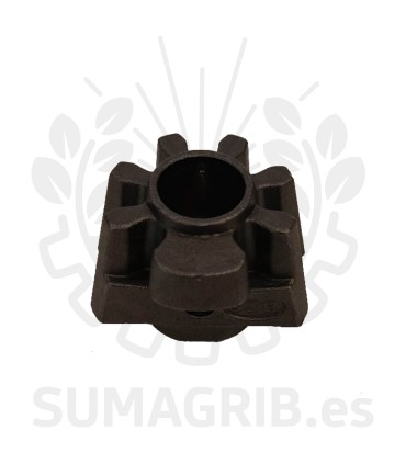 PIÑON DEL PAJARITO ZOCAPI 100002