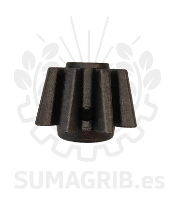 PIÑON DEL PAJARITO ZOCAPI 100002