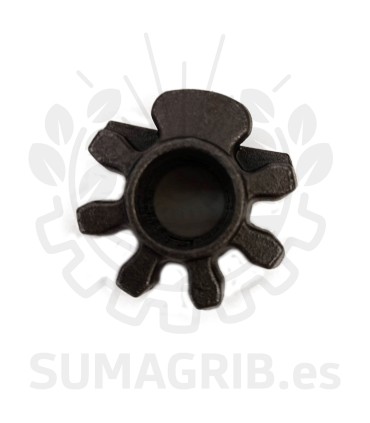 PIÑON DEL PAJARITO ZOCAPI 100002