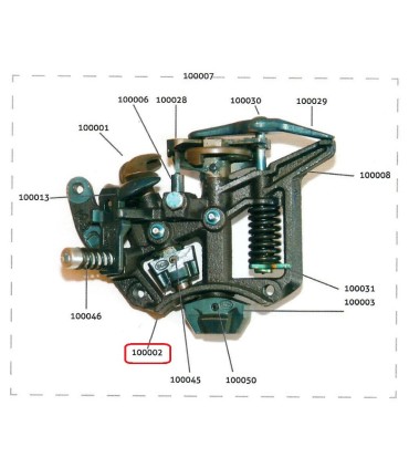 PIÑON DEL PAJARITO ZOCAPI 100002