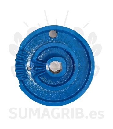 PLATO AZUL ZOCAPI 100004