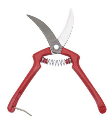 TIJERA DE AJOS LA PAJARITA 2010-20 CM