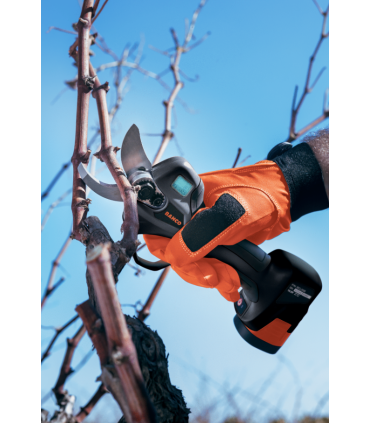 TIJERA DE PODA DE VIÑA BCL20IB BAHCO